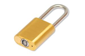 Machatronic Padlock for Industrial Application